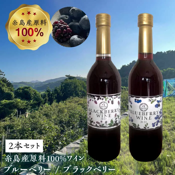 糸島産 ブルーベリー ＆ ブラックベリー ワイン 720ml×2種 セット 糸島市 / HYM FARM [AHM001]