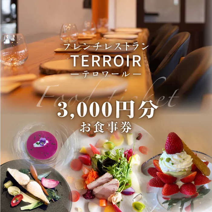 フレンチ レストラン【テロワール】ランチ・ディナー 共通 お食事券 3,000円分 糸島市 / テロワール チケット 体験 [AMM003]