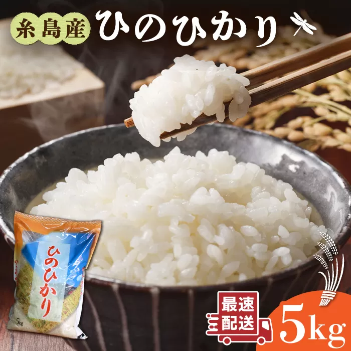 ＼ 令和6年産 ／ 糸島産 ひのひかり 5kg 糸島市 / 三島商店 [AIM003]