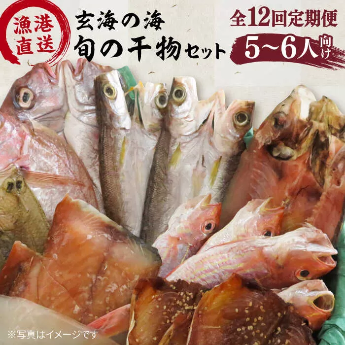 【全12回定期便】塩 にも こだわり 玄海 の 海 旬 の 干物 大満足 セット ( 5～6人 向け ) 糸島市 / 福ふくの里 [ALD010]