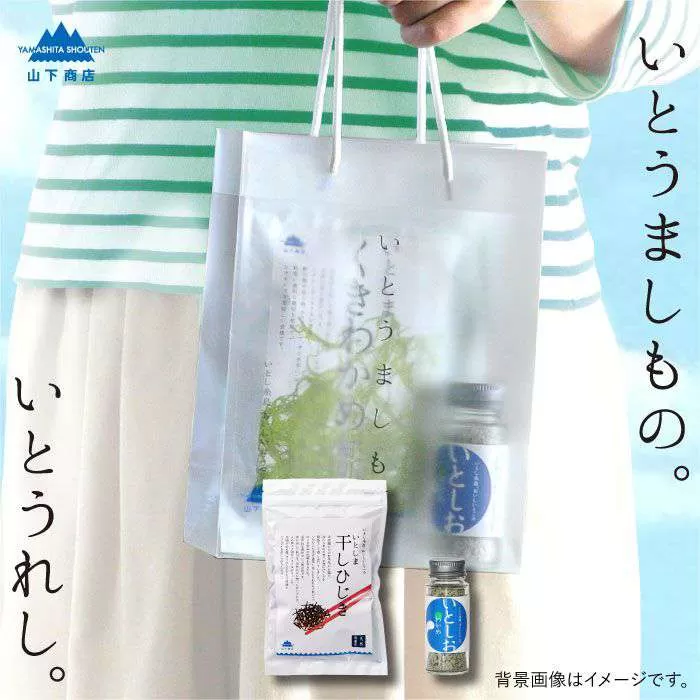 糸島の乾物 海藻 いとうましもの ( 手さげ袋 B)《糸島》【山下商店】【いとしまごころ】[ANA020]