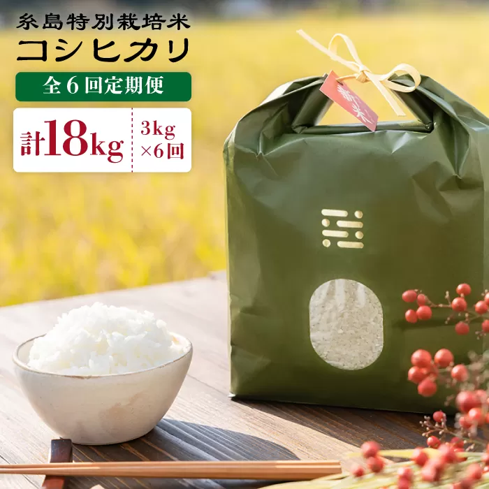 【全6回定期便】とくべつ の中の とくべつ 糸島 特別栽培米 3kg （ コシヒカリ ） 糸島市 / 株式会社やました [ARJ002]