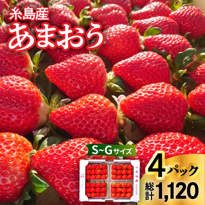 [先行予約][農家直送!] 糸島産 あまおう 280g×4パック (GおよびSサイズ) [2026年1月下旬以降順次発送]糸島市 / 後藤農園 [AML003] あまおう いちご イチゴ 苺 ギフト 贈答 期間限定 フルーツ 4パック