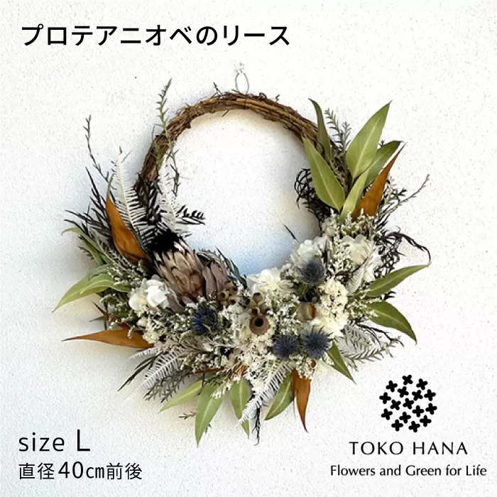 プロテアニオベのリース 糸島市 / tokohana ドライフラワー アレンジ [AOC033]