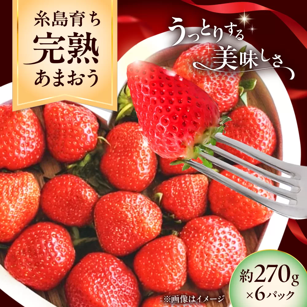 【先行予約】福岡県 糸島市産 完熟 あまおう いちご （約270g×6パック） 【2026年4月以降順次発送】 糸島市 / mhshops / 苺 イチゴ [AKQ003]