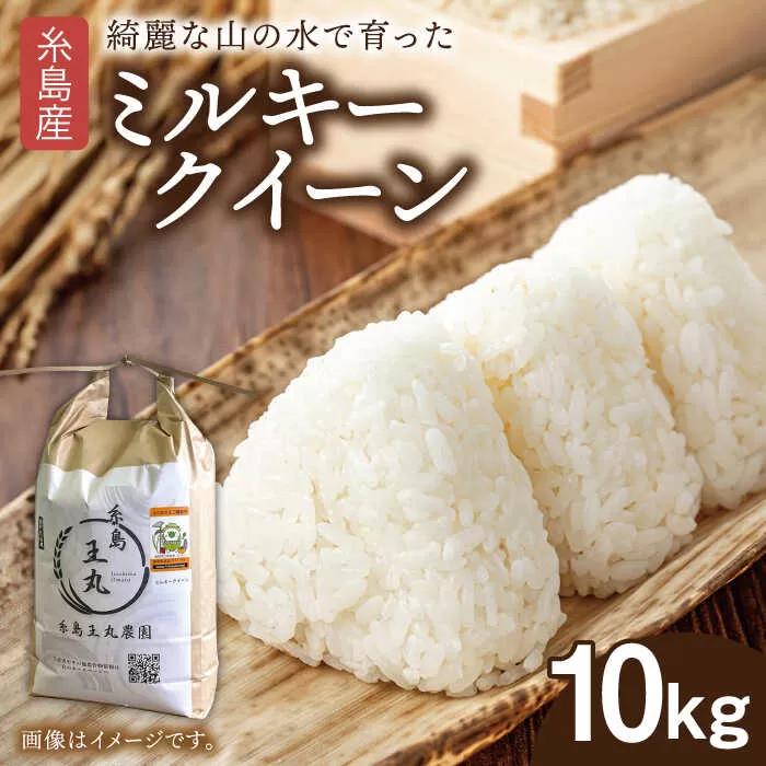 糸島産 ミルキークイーン 10kg 糸島市／糸島王丸農園（ 谷口汰一 ）【いとしまごころ】 米  [AAZ018]