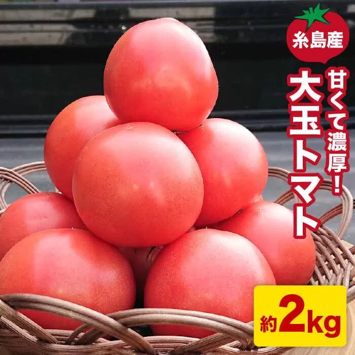【甘くて濃厚】大玉 トマト 2kg 糸島産 《糸島》 【大櫛トマトファーム】 [AQH001]