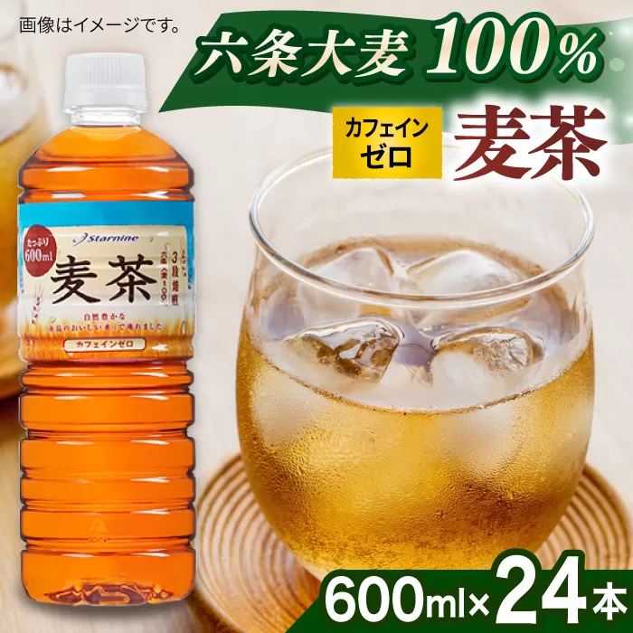 麦茶 600ml × 24本  糸島市 / スターナイン お茶 ペットボトル [ARM005]