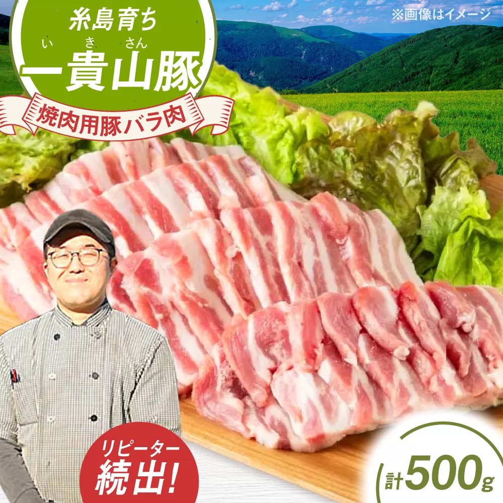 一貴山豚 焼肉用バラ肉 計500g(250g×2p) 糸島市 / いきさん牧場 豚肉 [AGB034] 豚肉 豚 ブランド豚 一貴山豚 ポーク バラ 豚バラ 脂身 小分け