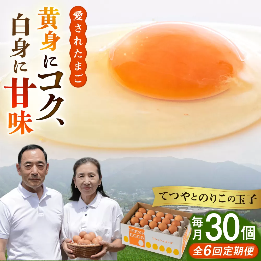 【全6回定期便】【30個×6ヶ月】黄身にコク！白身に甘み！てつやとのりこの玉子 板垣ファーム [AWD009]