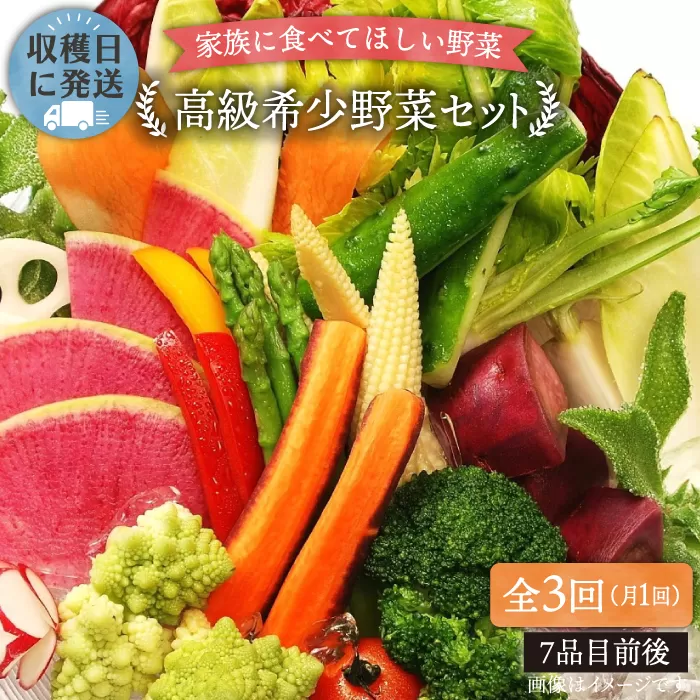 [ 全3回 定期便 ][ 農薬・化学肥料 不使用 ]こだわり 高級希少野菜 セット ( 7品前後 ) [糸島][オーガニックナガミツファーム] 