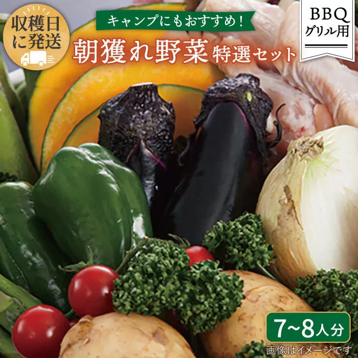 ☆キャンプにもおすすめ☆バーベキュー・グリル用朝獲れ野菜特選セット【福岡県糸島産】(たっぷり7〜8人分) 糸島市 / オーガニックナガミツファーム 野菜 詰め合わせ [AGE039]