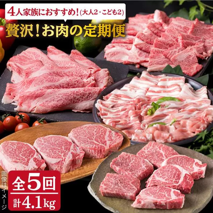 美味しさ 満載 ！ 贅沢お 肉 セット の 定期便 全5回 （月1回） 4人 家族用 【福岡 糸島産 牛肉 豚肉 鶏肉 ステーキ しゃぶしゃぶ すき焼き ヒレ シャトーブリアン ロース】 《糸島》 【糸島ミートデリ工房】 [ACA083] 定期便 博多和牛 豚 地 鶏 牛肉 焼肉 ステーキ すき焼き しゃぶしゃぶ 国産