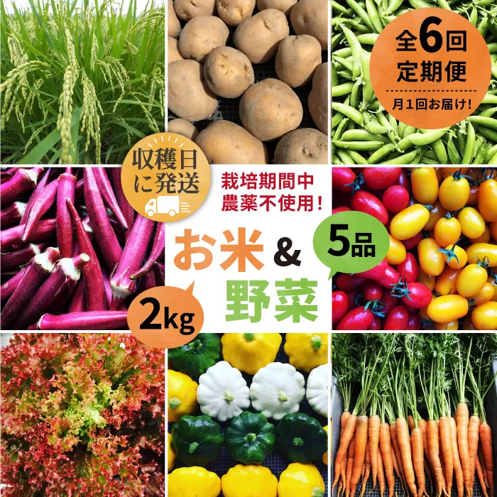 【全6回定期便】【☆畑直送☆栽培期間中農薬不使用！】お 米 2kg & 野菜 5品 の セット 糸島市 / オーガニックナガミツファーム 	[AGE037]