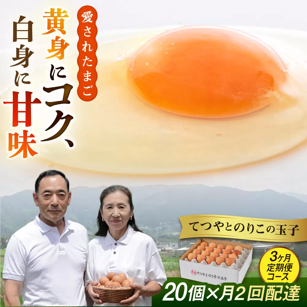 《月2回 × 20個 3ヶ月コース》卵 てつやとのりこの玉子 全6回定期便 糸島市 / 板垣ファーム [AWD012]