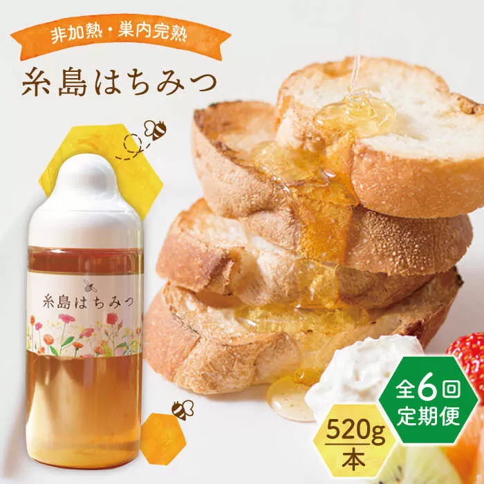 【全6回定期便】糸島 はちみつ 520g 糸島市 / ヴァンベールフーズ /百花 / 蜂蜜 [AFJ006]