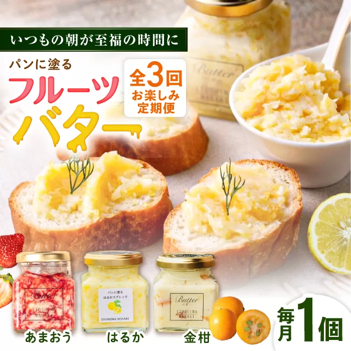 【全3回定期便】お楽しみ定期便 フルーツバター大1個 糸島市 / 糸島正キ ジャム クリーム 果物 [AQA062]