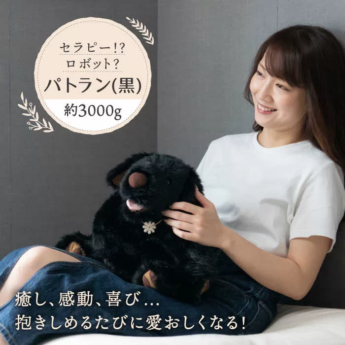 犬型セラピー？！ロボット？パトランの黒（通称：クロラン） 犬 ぬいぐるみ 糸島市 / 科学工房未來 [AYI002]