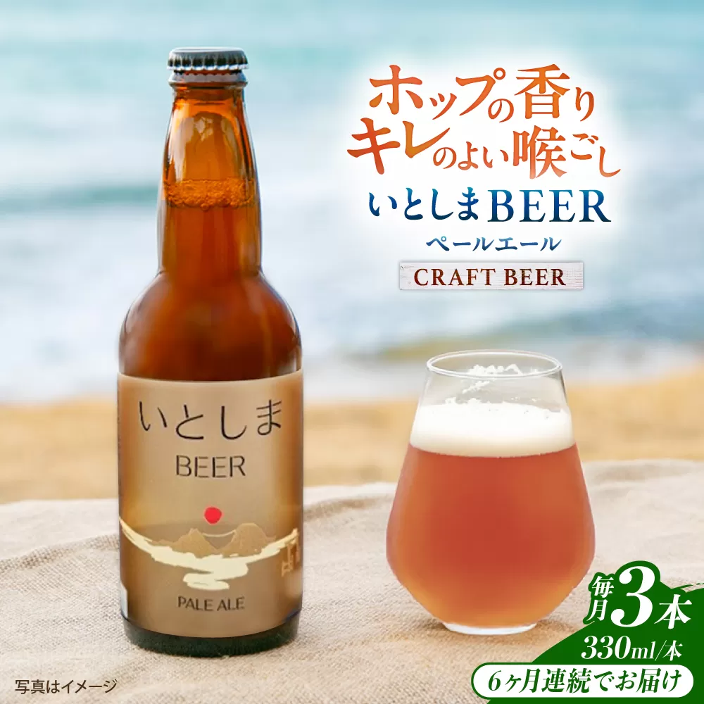【全6回定期便】 いとしまBEER (ペールエール) 330ml×3本 糸島市 / 蔵屋 クラフトビール [AUA048]