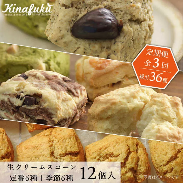 【全3回定期便】定番 ＆ 季節 の スコーン 12個セット   糸島市 / スコーン専門店キナフク 焼き菓子 焼菓子 洋菓子 スイーツ パン [AFA015]