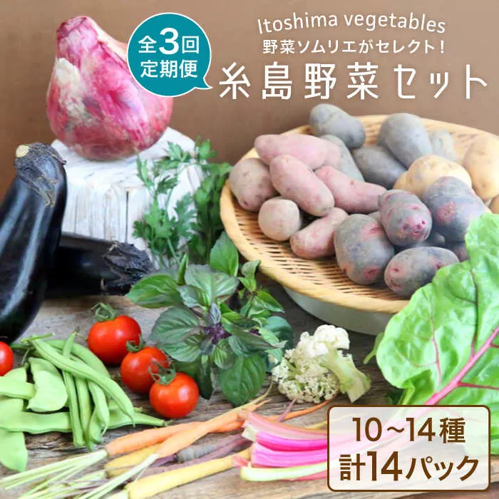 【全3回定期便】旬を味わう 糸島 野菜 セット 10～14種 （14パック） / イタリア野菜 オーガニック 野菜ソムリエ 松永 糸島市 / vegeLabo [AJB004]