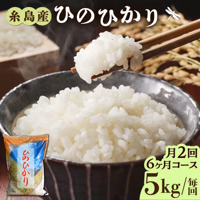 【月2回お届け】【全12回定期便】糸島産 ひのひかり 5kg 6ヶ月コース 糸島市 / 三島商店 [AIM029]