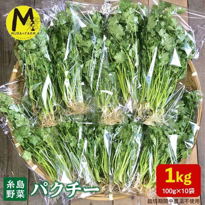 糸島産 パクチー 1kg （100g×10袋） 糸島市 / MURA FARM [AFD002]
