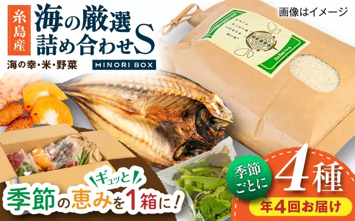 [全4回定期便 令和7年産新米]糸島産 魚 米 野菜 果物 厳選詰め合わせ MINORI BOX Sサイズ[季節ごとに年4回お届け] 糸島市 / emma.Inc / 米 魚 野菜 詰め合わせ [AOP004] 米 こめ 魚 さかな 野菜 やさい 糸島 詰め合わせ MINORI 定期便