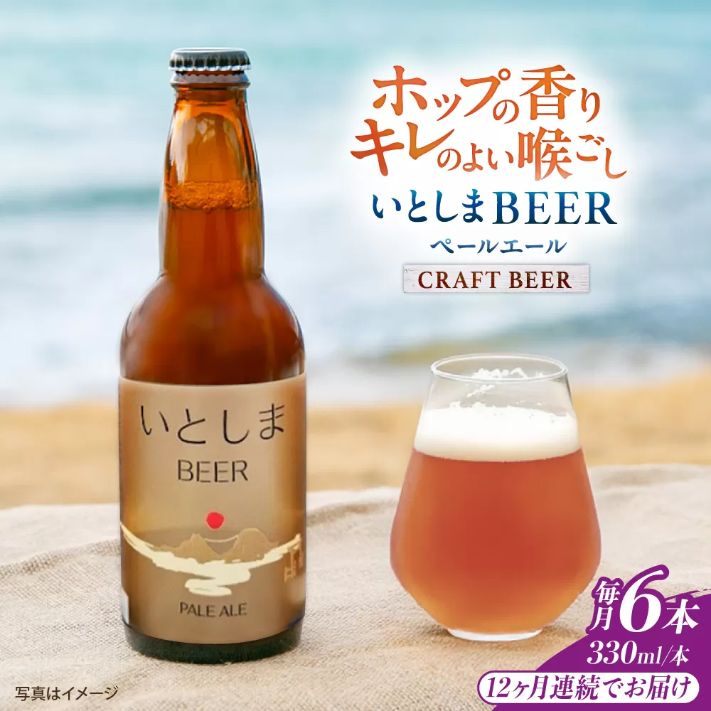 【全12回定期便】いとしまBEER (ペールエール) 330ml×6本 糸島市 / 蔵屋 クラフトビール [AUA052]