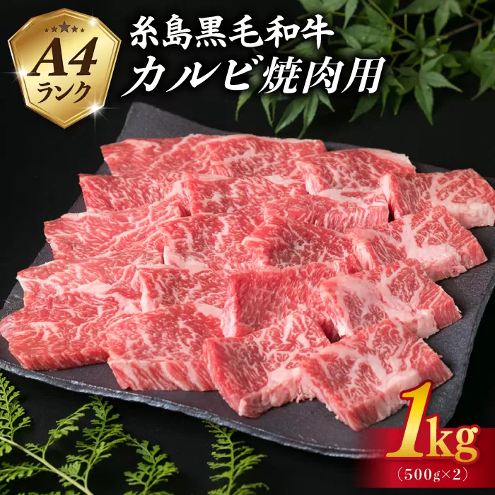 【焼肉用】A4ランク 糸島黒毛和牛 カルビ 1kg（500g×2） 糸島市 / 糸島ミートデリ工房 [ACA378] 糸島 和牛 カルビ 焼肉 厚切り 希少部位 ジューシー