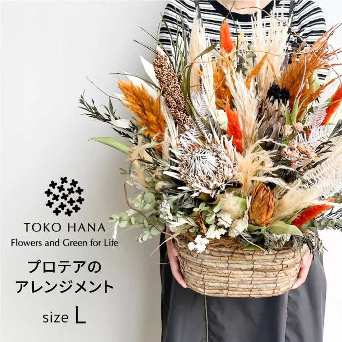 プロテアのアレンジメント（Lサイズ） 糸島市 / tokohana ドライフラワー アレンジ [AOC037]