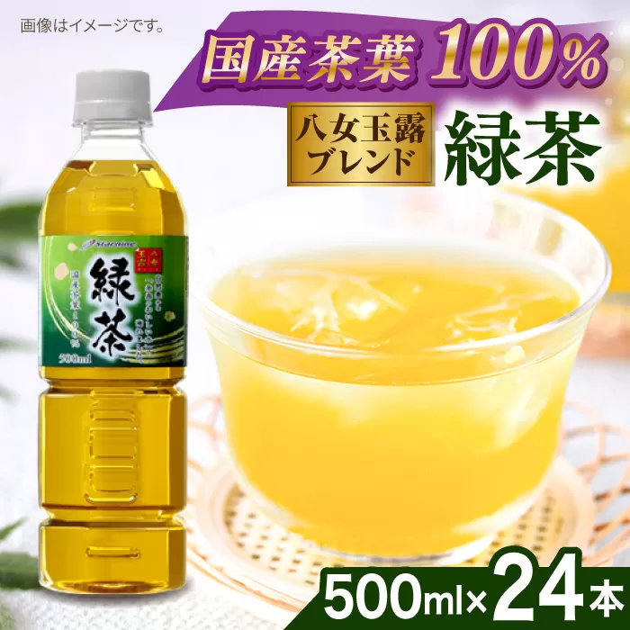 八女 玉露入り 緑茶 500ml × 24本  糸島市 / スターナイン お茶 ペットボトル [ARM004]