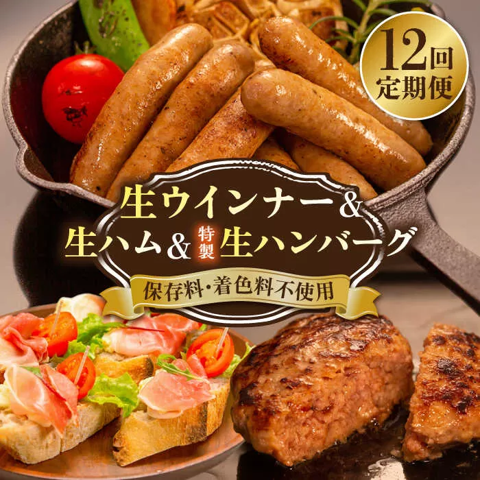 【全12回定期便】特製 生ハンバーグ 生ハム 生ウインナー 3種 セット 糸島市 / 志摩スモークハウス 肉 加工品 [AOA031]