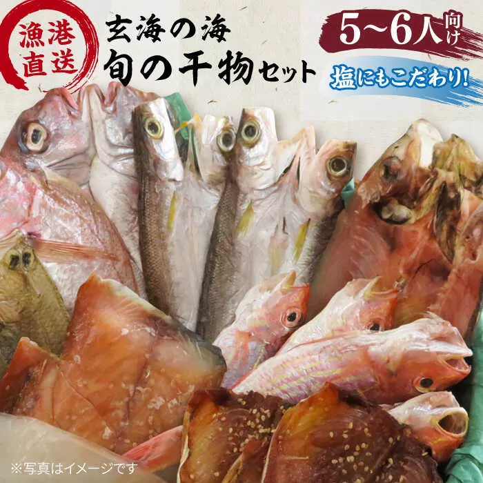 塩 にも こだわり 玄海 の 海 旬 の 干物 大満足 セット ( 5～6人 向け ) 《糸島》【福ふくの里】[ALD004]