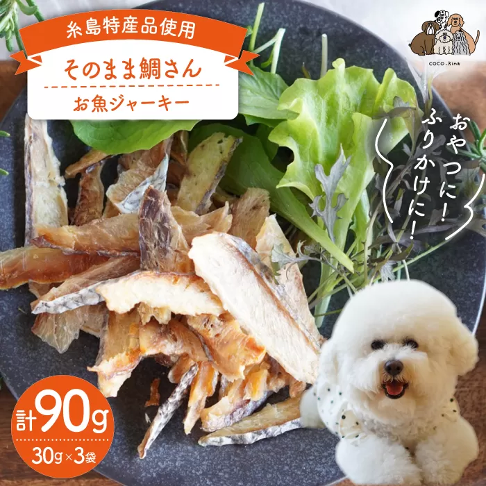 【糸島特産品使用】 無添加 そのまま 鯛さん 3袋  糸島市 / 株式会社コバヤシ【coco.kina】 犬 おやつ ドッグフード [ASL002]