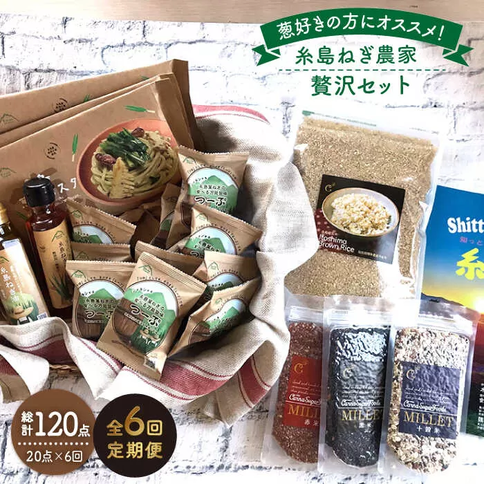 【全6回定期便】糸島ねぎ農家贅沢セット《糸島》【Carna】 [ALA039]