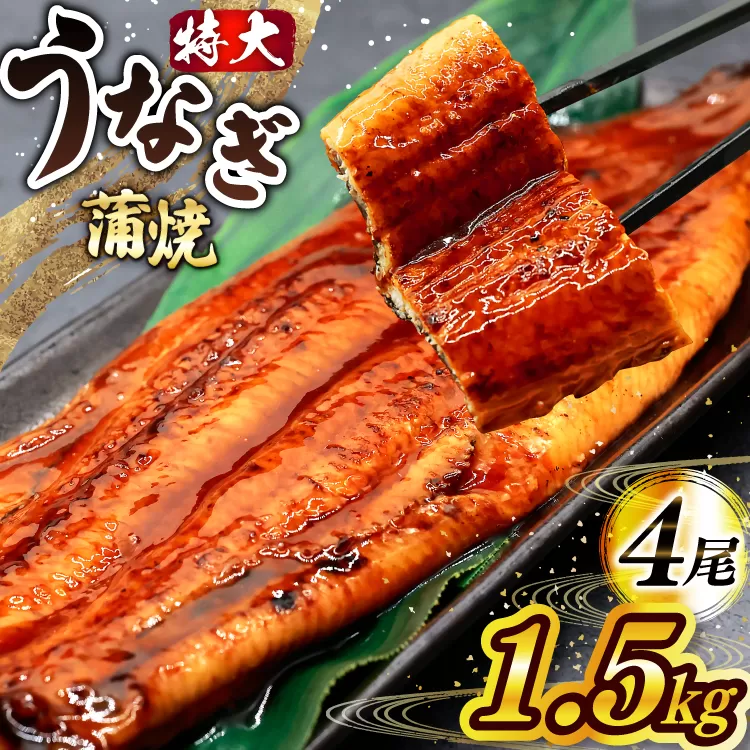 うなぎ 蒲焼 特大サイズ 肉厚 約 1.5kg 4尾 タレ・山椒付 茶葉蒸し [大黒物産 福岡県 宇美町 um40bak830002] 鰻 ウナギ 小分け うなぎ蒲焼 鰻蒲焼き 訳あり 蒲焼き かば焼き 茶葉蒸しうなぎ 真空パック 個包装 冷凍 unagi