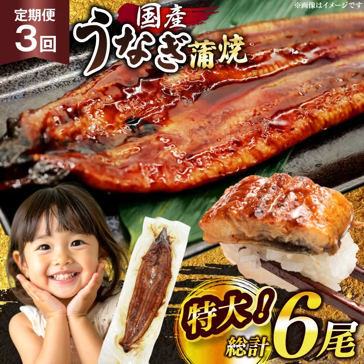 うなぎ 国産 定期便 鰻 蒲焼 特大 約200g 2尾 計400g以上 3回 総計約1.2kg 小分け 【有頭】[大黒物産 福岡県 宇美町 um40bak830018] タレ 山椒付 茶葉蒸し ウナギ 不揃い 規格外 鹿児島 宮崎 うなぎ蒲焼 鰻蒲焼き 蒲焼き かば焼き 真空パック 個包装 冷凍 unagi