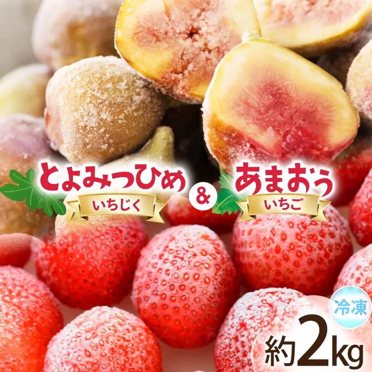フルーツ 冷凍 あまおう ＆ 冷凍 よみつひめ セット 計約2kg [地域商社ふるさぽ 福岡県 宇美町 um40bfw220006] いちご いちじく 果物 イチゴ 苺 イチジク 無花果 くだもの ジャム シャーベット スムージー 詰め合わせ