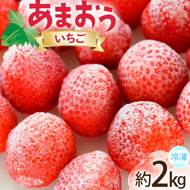 いちご 冷凍 あまおう 約2kg [地域商社ふるさぽ 福岡県 宇美町 um40bfw220008] フルーツ 果物 イチゴ 苺 くだもの ジャム シャーベット スムージー