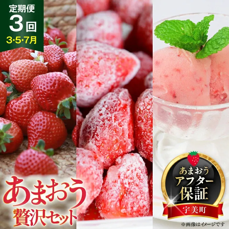 いちご 定期便 贅沢セット フレッシュあまおう & 冷凍あまおう & ジェラート 2種 【2027年発送】 [THE FARM_strawberry 福岡県 宇美町 um40azo780019] アイス 先行予約 イチゴ 苺 フルーツ 果物 果実 甘い 小分け 定期 あまい