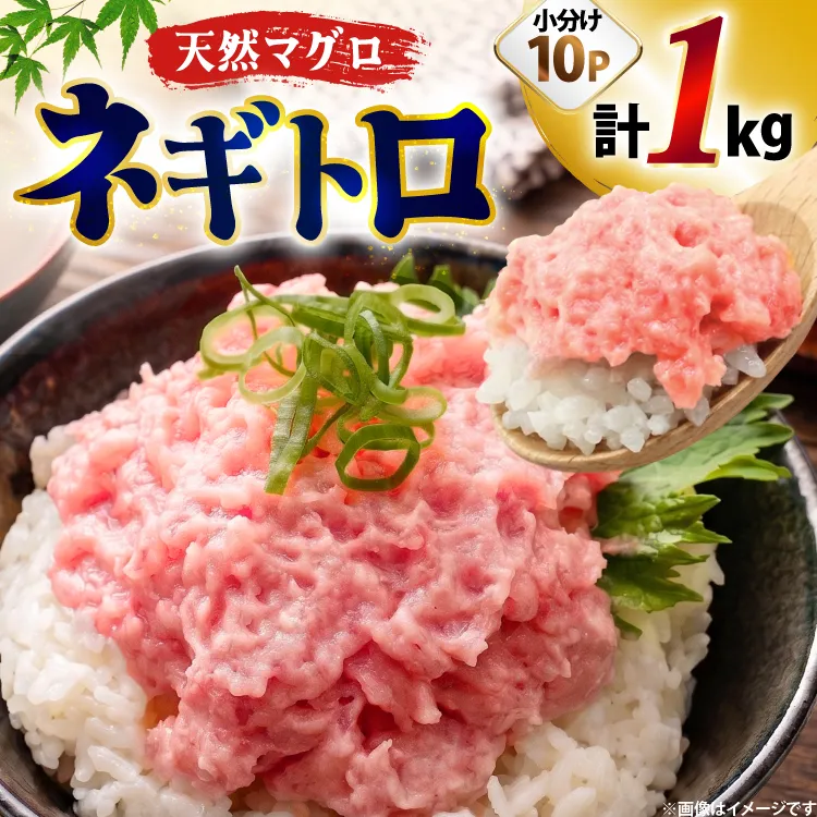 ネギトロ まぐろ 1kg 10パック セット [大黒物産株式会社 福岡県 宇美町 um40bak830037] マグロ 鮪 ねぎとろ まぐろたたき まぐろのたたき ご飯 海鮮 魚介 惣菜 お惣菜 おかず おつまみ ネギトロ丼 丼 丼物 冷凍 小分け