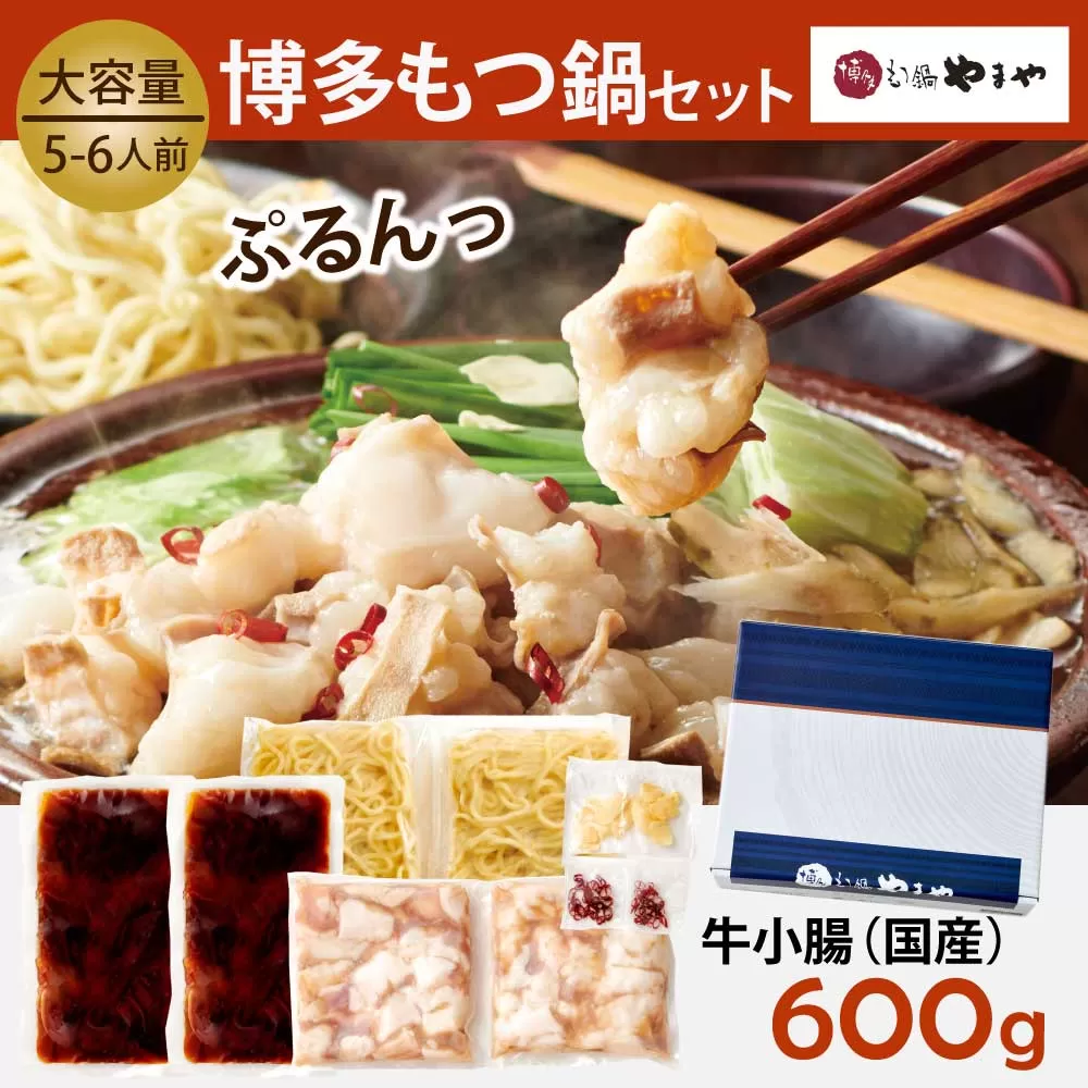 もつ鍋 やまや 6回 定期便 博多もつ鍋 牛もつ 600g たっぷり セット 5〜6人前 ちゃんぽん麺 薬味付 総計30人前 [やまやコミュニケーションズ 福岡県 宇美町 um40azo860013] 牛もつ 具材 モツ鍋 牛ホルモン セット