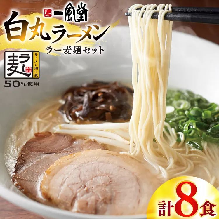 ラーメン 一風堂 白丸 ラー麦麺 セット 計8食 [地域商社ふるさぽ 福岡県 宇美町 um40bfw220009] らーめん 豚骨 とんこつ 博多ラーメン 豚骨ラーメン 詰め合わせ