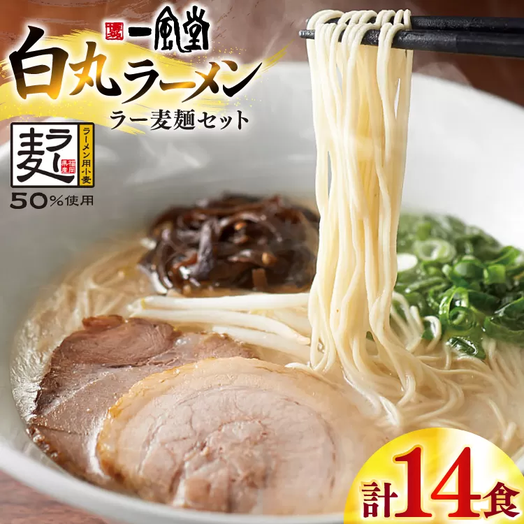 ラーメン 一風堂 白丸 ラー麦麺 セット 14食 [地域商社ふるさぽ 福岡県 宇美町 um40bfw220013] 豚骨 とんこつ らーめん 拉麺 豚骨ラーメン とんこつラーメン 博多ラーメン まとめ買い