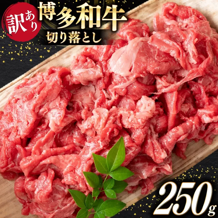 牛肉 訳あり A4 A5 博多和牛 切り落とし 250g [木村食品 福岡県 宇美町 um40beg040039] 訳アリ 牛 肉 牛バラ 肩肉 バラ肉
