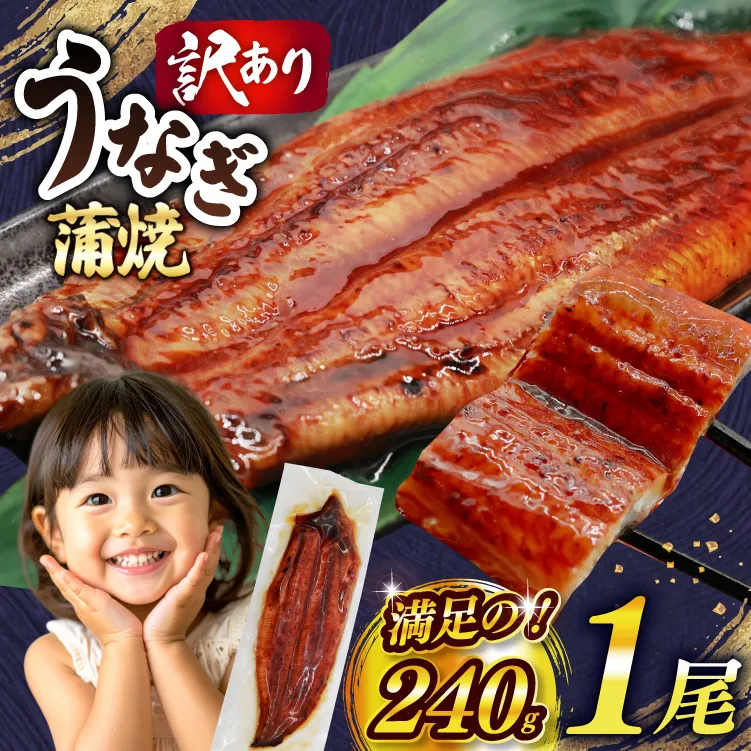 うなぎ 訳あり 鰻 蒲焼 特大 1尾 約240g 不揃い 規格外 小分け [大黒物産 福岡県 宇美町 um40bak830044] タレ 山椒付 茶葉蒸し ウナギ うなぎ蒲焼 鰻蒲焼き 蒲焼き かば焼き 真空パック 個包装 冷凍 unagi