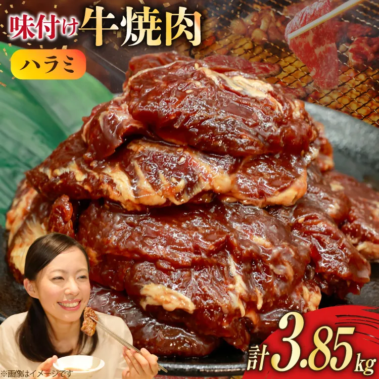 牛肉 味付け牛 サガリ 350g 11袋 計約3.8kg [小林食品 福岡県 宇美町 um40azo890015] 肉 焼き肉 サガリ 味付け牛肉 牛焼肉 個包装 冷凍