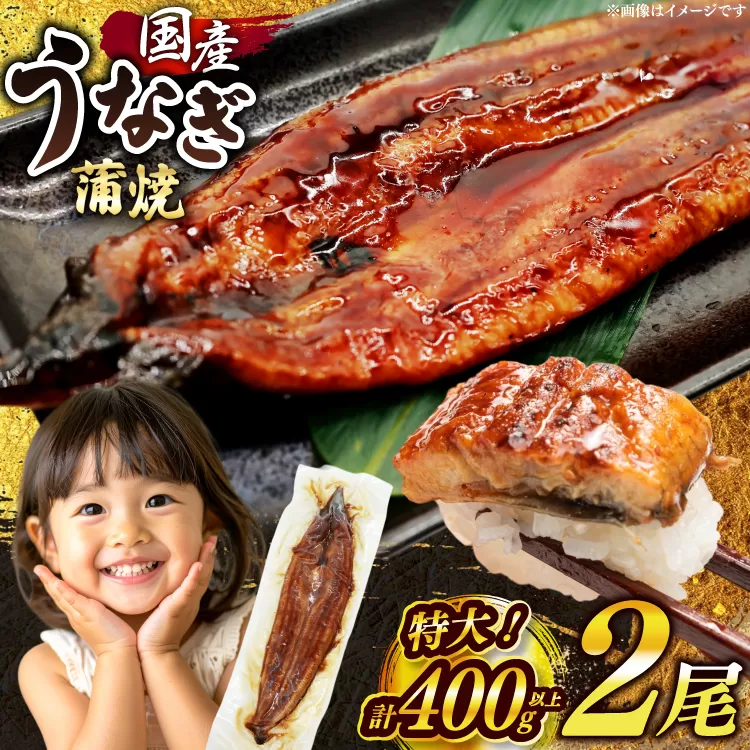 うなぎ 国産 鰻 蒲焼 特大 約200g 2尾 計400g以上 小分け 【有頭】[大黒物産 福岡県 宇美町 um40bak830011] タレ 山椒付 茶葉蒸し ウナギ 不揃い 規格外 鹿児島 宮崎 うなぎ蒲焼 鰻蒲焼き 蒲焼き かば焼き 真空パック 個包装 冷凍 unagi