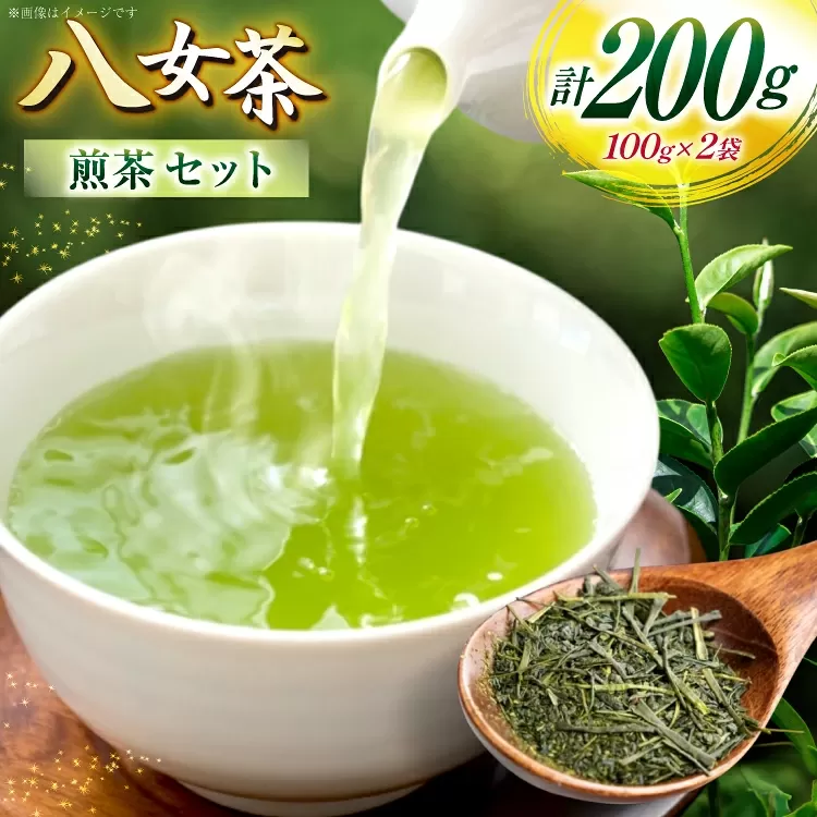 お茶 八女茶 煎茶 100g×2 セット [木村食品 福岡県 宇美町 um40beg040045] お茶の葉 茶 お茶の葉 茶葉 お茶っぱ